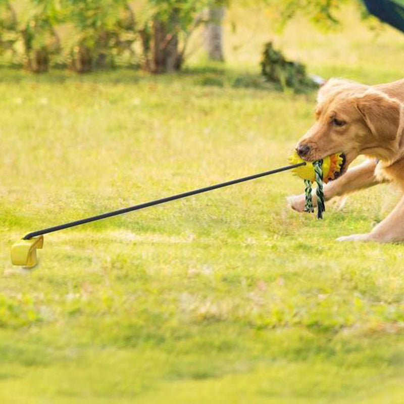 Outdoor Tug Toy with Ground Stake for Dogs
