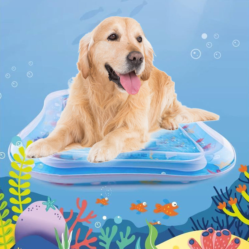 Water Sensory Play Mat for Cats & Dogs