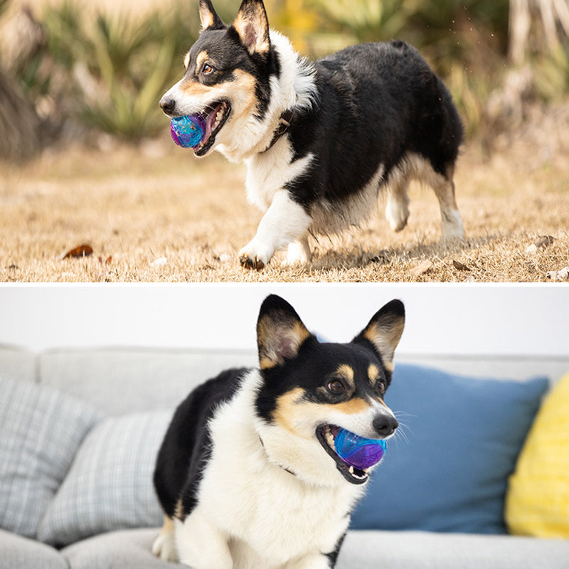 Giggle Squeaky Dog Ball - Durable Molar Chew Toy