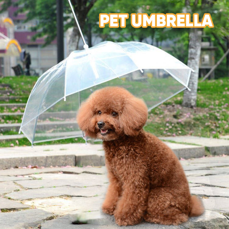 Clear Dog Umbrella with Built-In Leash