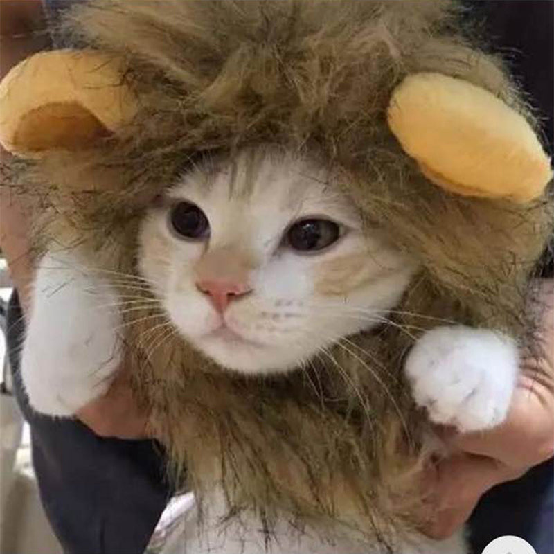 Lion Mane Costume Hat for Cats & Small Dogs