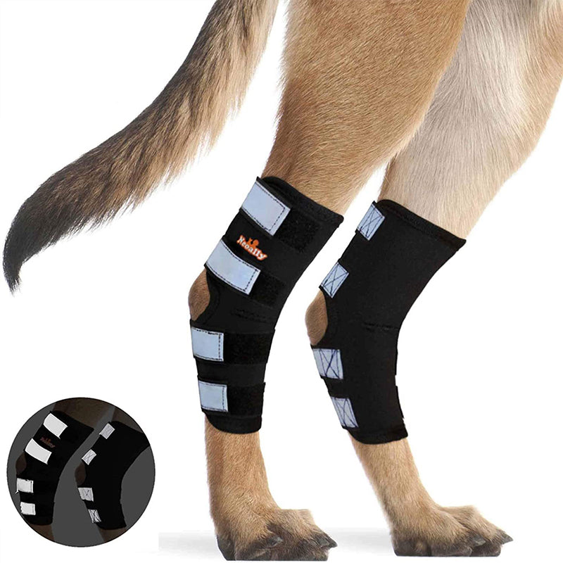 Rear Leg Hock Brace for Dogs - Pair