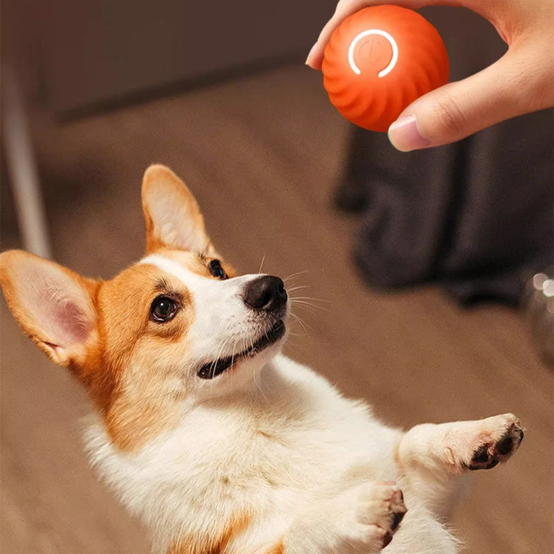 Smart Interactive Rolling Dog Ball | Auto-Motion Toy