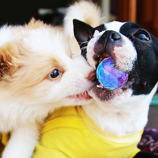 Giggle Squeaky Dog Ball - Durable Molar Chew Toy