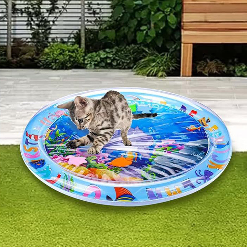 Water Sensory Play Mat for Cats & Dogs