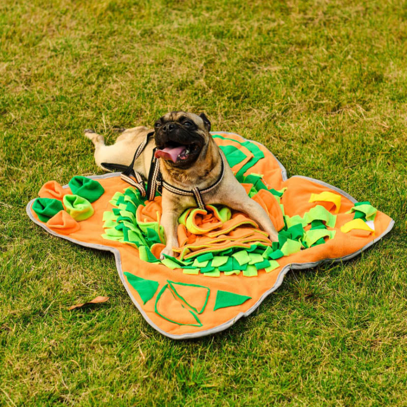 Snuffle Mat Slow Feeder for Dogs - Foraging Puzzle