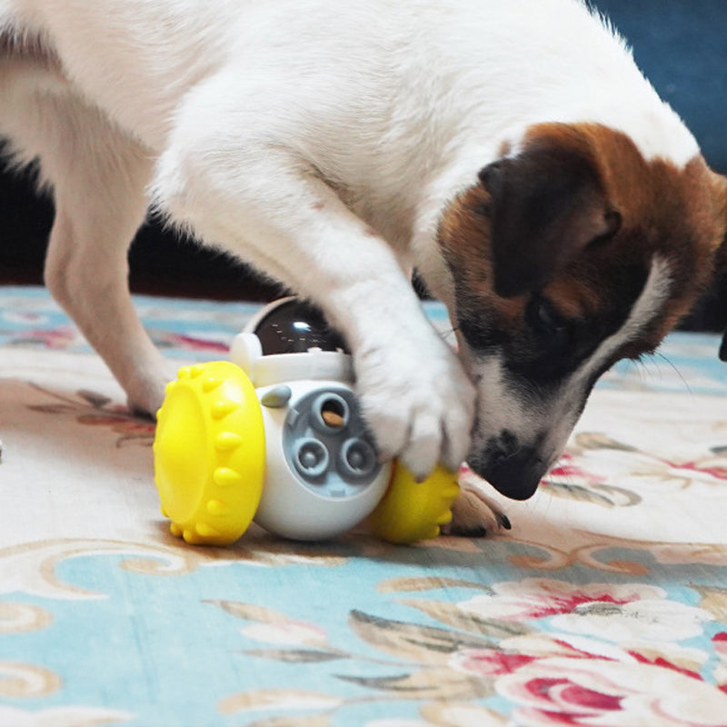 Interactive Treat-Dispensing Balance Toy for Dogs