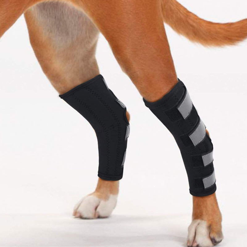 Rear Leg Hock Brace for Dogs - Pair