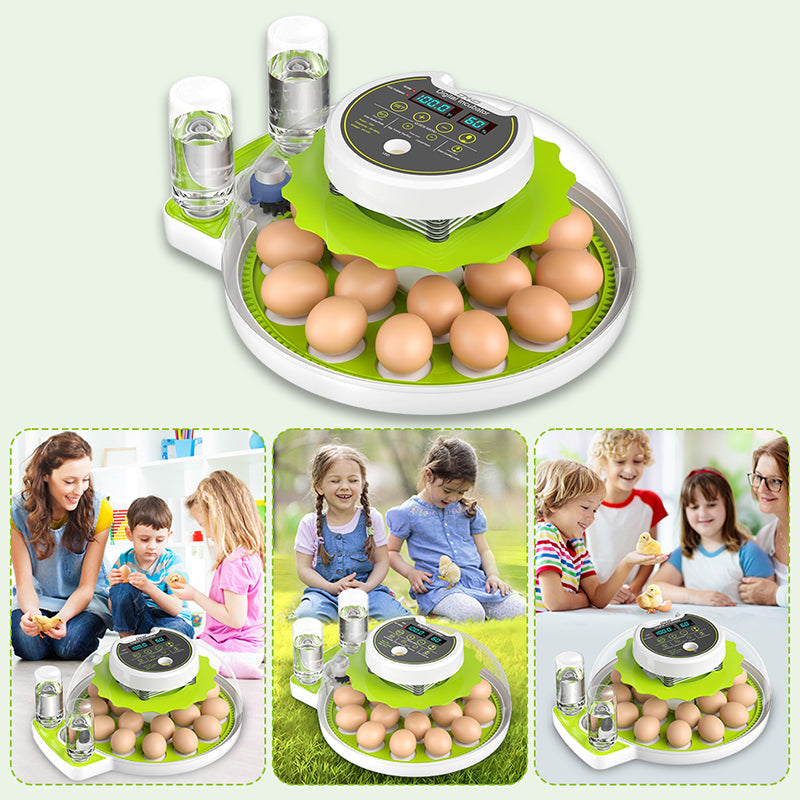 18-Egg Automatic Incubator with Turner & Candler