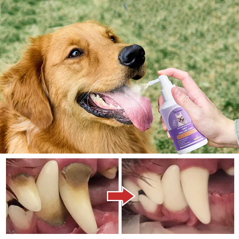 No-Brush Dental Spray for Dogs & Cats - Fresh Breath