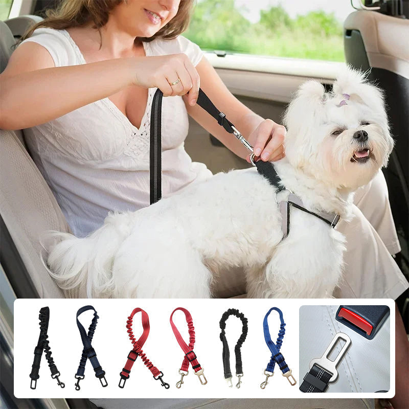 Elastic Dog Car Seat Belt with Shock-Absorbing Bungee