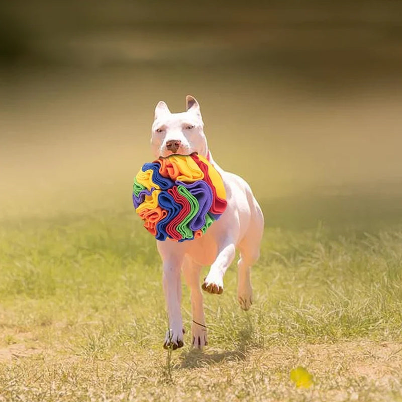 Foldable Snuffle Ball Dog Enrichment Toy