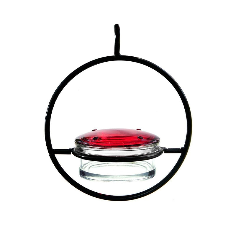 Hanging Hummingbird Feeder with Perch & Glass Dish