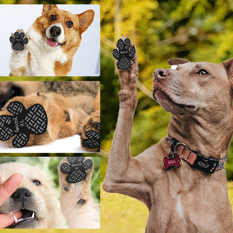 Anti-Slip Dog Paw Grips - Traction Pads