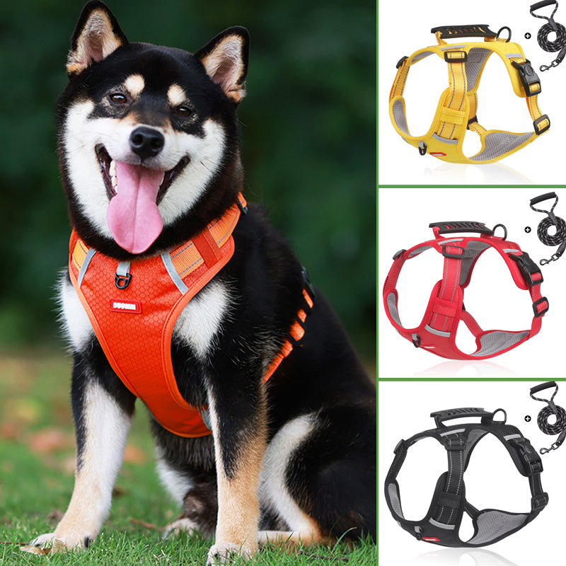 No-Pull Reflective Dog Harness & Leash Set