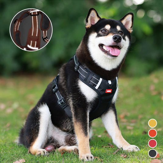 No-Pull Reflective Dog Harness & Leash Set
