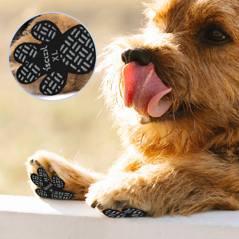 Anti-Slip Dog Paw Grips - Traction Pads