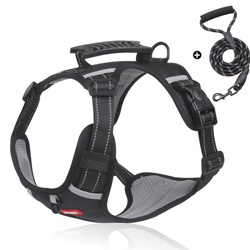 No-Pull Reflective Dog Harness & Leash Set